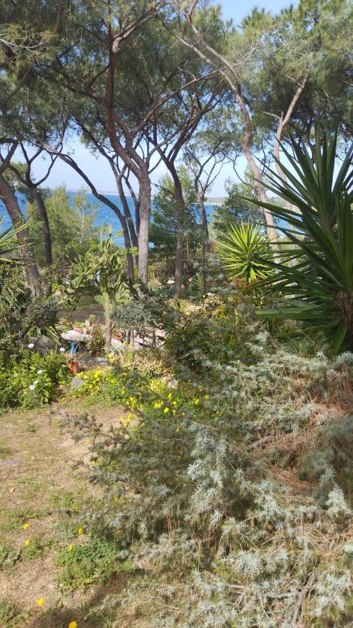 Casa Vacanze Cettina Home 3 Mt 50 Dal Mare Terra Mala Luaran gambar